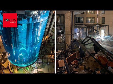 Riesiges Aquarium in Berliner Hotel geplatzt - fast alle Fische tot