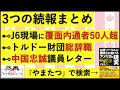 4.11 内通者・覆面50人/総辞職/中共忠誠レター