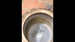 Pool Skimmer Vortex Enhancer