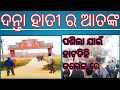 Elephant News Today | Elephant Attack | Hati akramana 