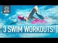 3 Essential Weekly Swim Workouts