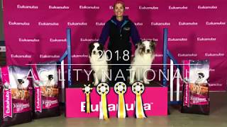 Agility Nationals 2018 by kayladene 377 views 6 years ago 3 minutes, 43 seconds