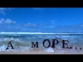 гр Весна А море гр Весна А море