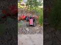 tractor in trouble