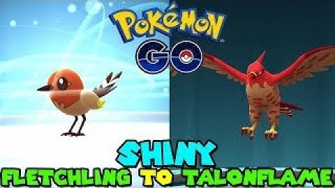 evolving  my shiny fletchling to shiny talonflame