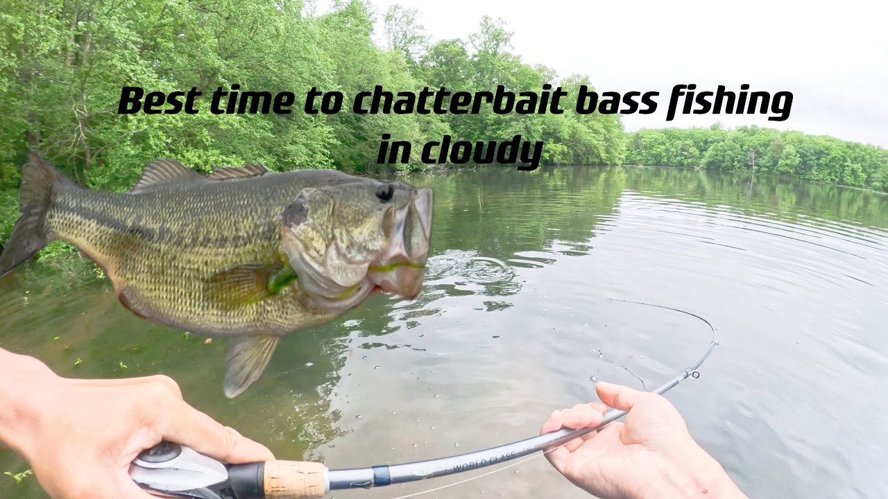 Best time to chatterbait bass fishing in cloudy