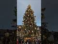 Le #sapin est allumé : Le #Marché de #Noël de #Strasbourg 2025 est ouvert ! 🎄🎅  #christmas   #travel