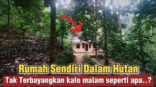 SEREEEM...❗RUMAH SENDIRI DI DALAM HUTAN PINUS.JALAN YANG SEPI DAN SUNYI BIKIN MERINDING