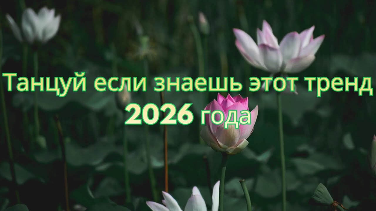 Танцуй если знаешь этот тренд 2026 года | TikTok-мэшап 🩶