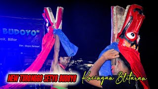 Kucingan , Barongan Kepruk Blitaran | New Turonggo Setyo Budoyo | Live Kedawung Nglegok Blitar