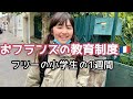 【おフランスの教育制度🇫🇷フツーの小学生の１週間】