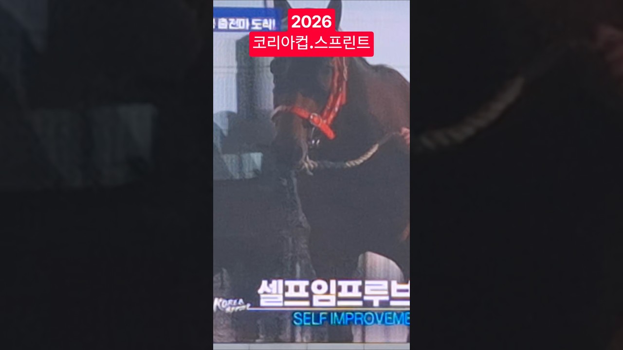 드뎌왔구나! 한판붙어 보자고~ #경마 #말 #달려라말 #shorts #대상경주