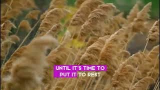 OSKI   What s The Problem    Electronic Pop