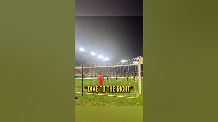 The Fan Saved The Penalty 🤯 (@grandmasteryoshi)