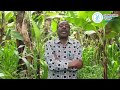ZOEZI NA UBORESHAJI DAFTARI LA WAPIGA KURA KATIBU MKOA WA KILIMANJARO ATUME UJUMBE ZOEZI NA UBORESHAJI DAFTARI LA WAPIGA KURA KATIBU MKOA WA KILIMANJARO ATUME UJUMBE