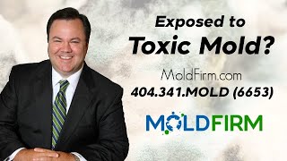 Got Mold? | Atlanta Toxic Mold Lawyers | Mold Firm Attorneys | Atlanta Georgia