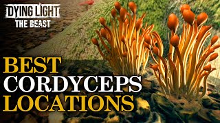 Where To Find Cordyceps | Dying Light The Beast