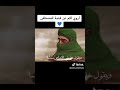 اروى لكم عن قصه للمصطفى اذ قاك يوما في الجيهاد