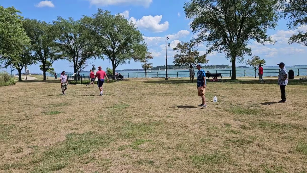 BNE Picnic 2025 - Cricket Match 05