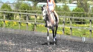 Bailey Flatwork