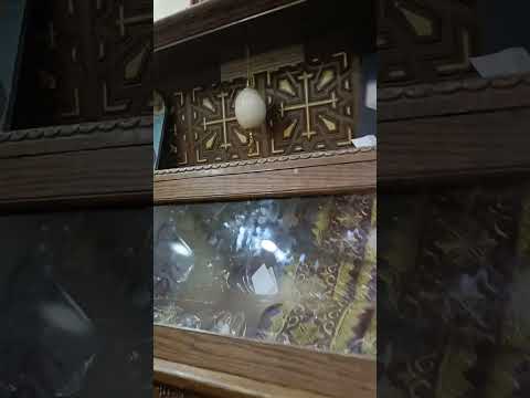 مزار الثلاثة فلاحين بأسنا