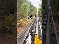 two huge bear just appear while riding a mountain coaster 😰