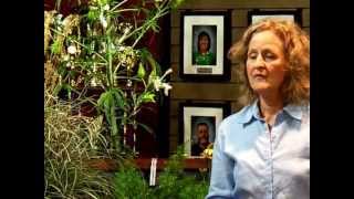 APLDSW - Julie Ryan, "Plants that Laugh at Summer" Part 2