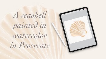A seashell painted in watercolor in Procreate