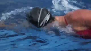 Fastlane Pro By Endless Pools