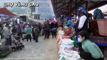 PHIÊN CHỢ LẠ ĐỘC ĐÁO TÂY BẮC - TOÀN LỢN CẮP NÁCH VÀ MÓN NGON KHÔNG CƯỠNG ĐƯỢC