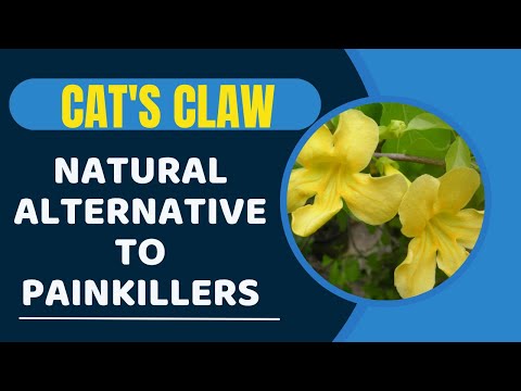 What Is Una De Gato Used For