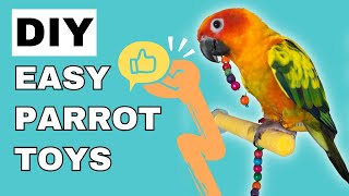 Super Cheap and Easy Homemade Bird Toys!