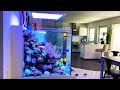 GERMAN REEF TANKS - "SILENT REEF" - the Designer saltwater aquarium with new ATI Straton LED (quiet)