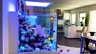 Download Lagu DUITSE RIFTANKS - \ MP3