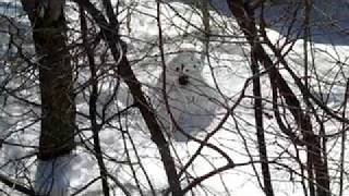 Death of a Snowman Long Version