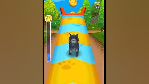 Cat run game / Cat run puppy racing Android /ios game play/ #Dogrun PET RUN GAME / CAT RUNNING