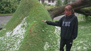 Severe Weather Leaves Damage Across Blaine, Coon Rapids