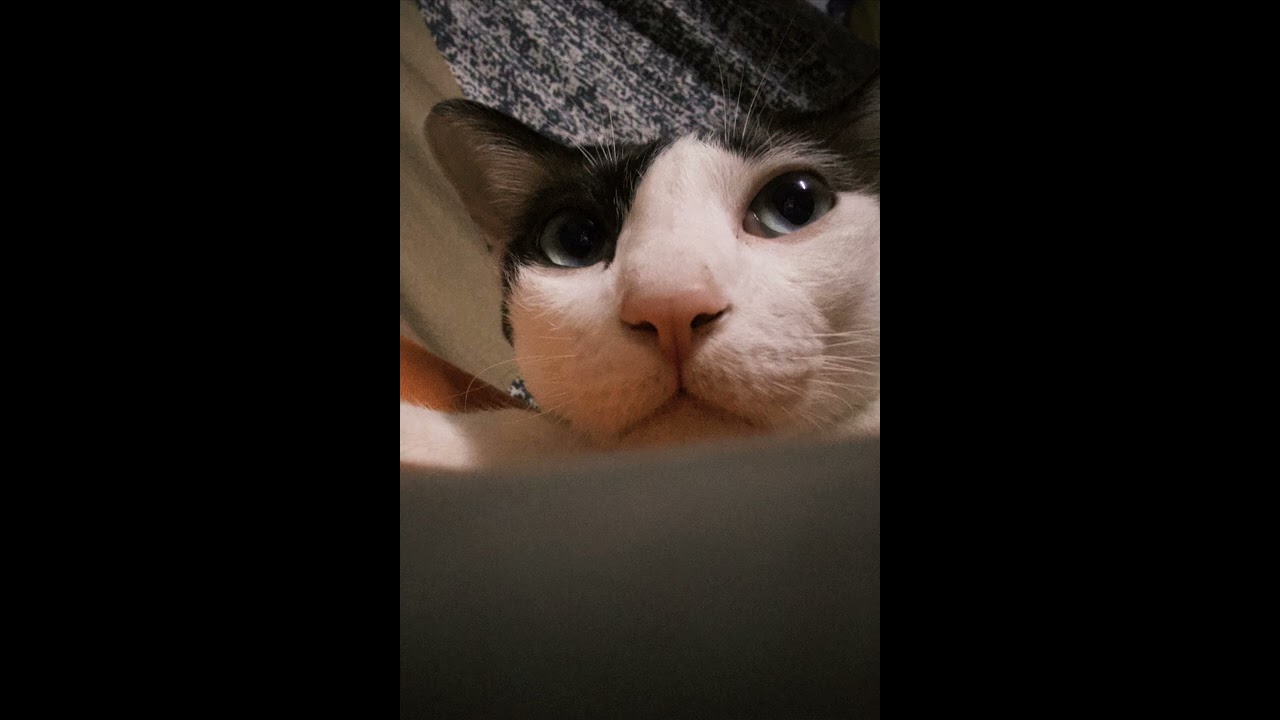 เห็นแก่ตัว (Selfish) - appjs