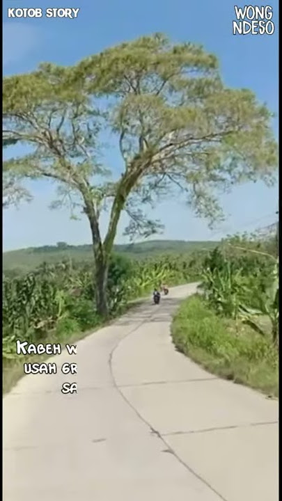 Story wa dalan uripe menungso kui bedo bedo