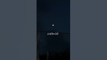 القارئ : عبد الرحمن مسعد ﴿ وَيَقُولُ الْإِنسَانُ أَإِذَا مَا مِتُّ لَسَوْفَ ﴾[ سورة مريم: 66]