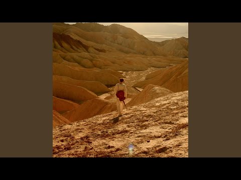 If You Could See