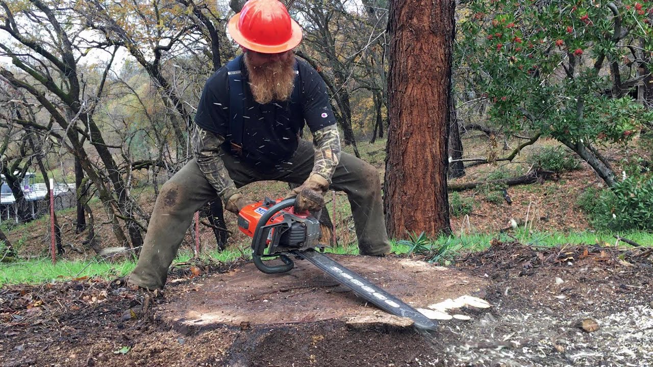 How to Finish a California Black Walnut Stump with a Chainsaw YouTube