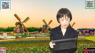 20200316 -4【应付不了了，纽约州长要求五角大楼驰援】【寒梅视角】
