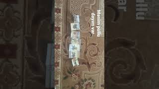 Mənim Pullu Dayım Var