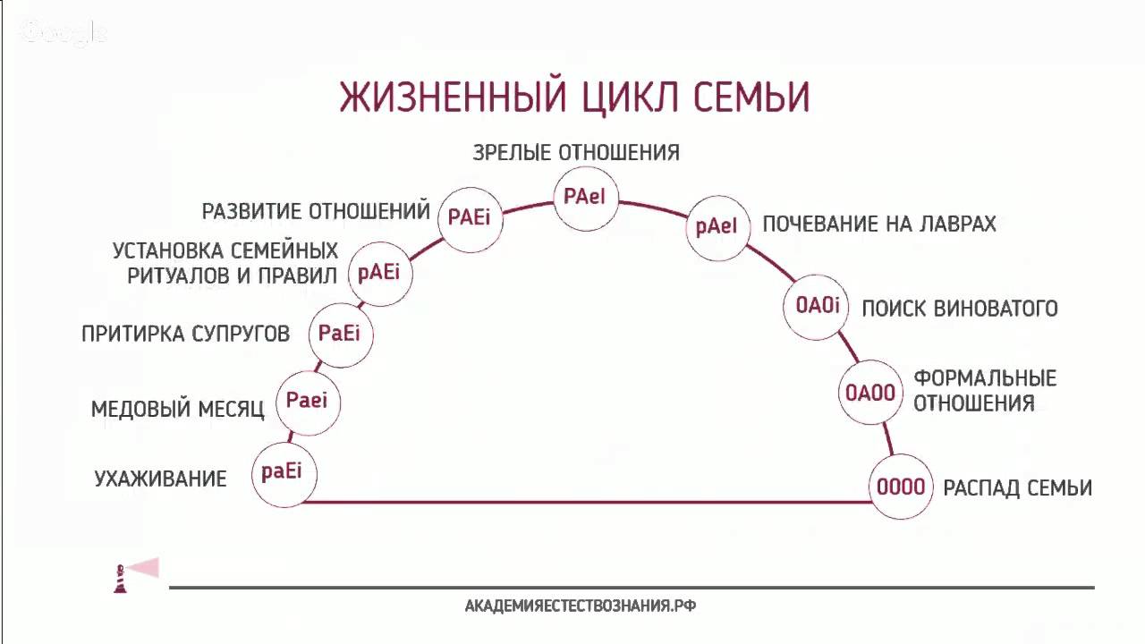 Не было развития отношений. Этапы жизненного цикла семьи схема. Стадии семейного жизненного цикла. Стадии жизненного цикла семьи в психологии. Фазы жизненного цикла семьи.
