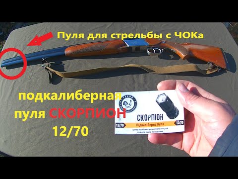 Подкалиберная пуля 12/70 СКОРПИОН (отличная пуля для стрельбы с ЧОКа)