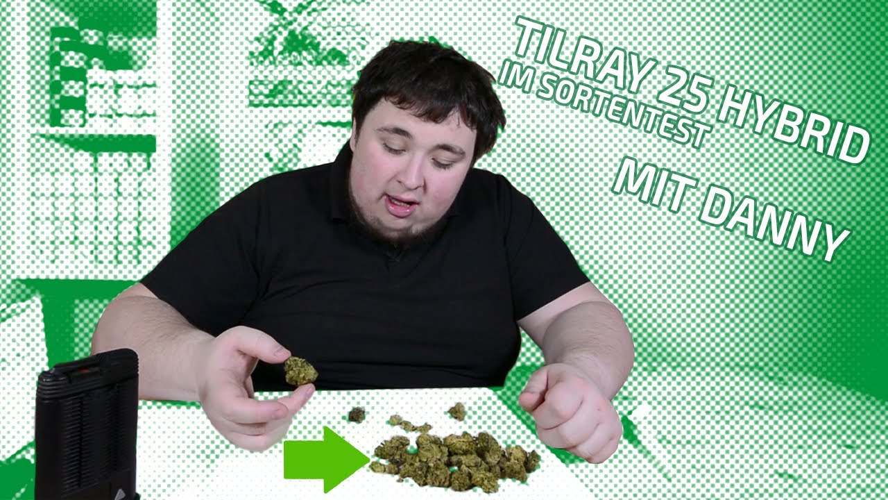 Sortentest ─ Tilray 25 - Hybrid ─ Perfekt für den Alltag?