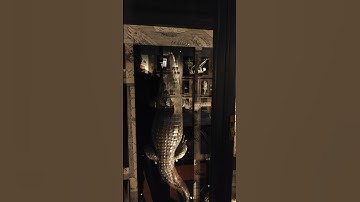 This display cabinet is 