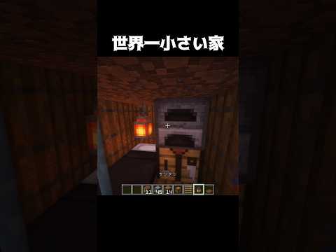 世界一小さい家 #shorts #マインクラフト #マイクラ