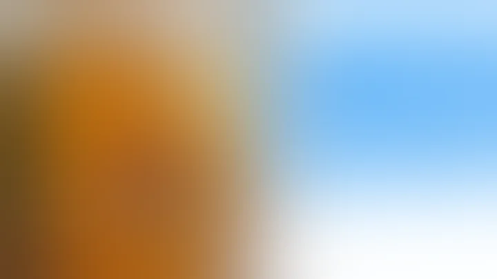 r/AITA My In-Laws Want to Use Piss Jugs in My House